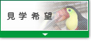 見学希望
