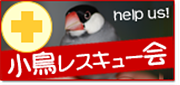小鳥レスキュー会