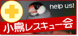 NPO法人　小鳥レスキュー会