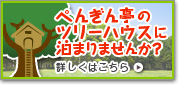 ペンギン亭のツリーハウス