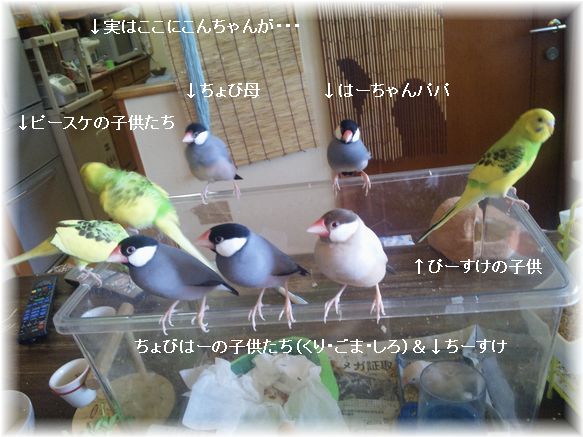 ܺ٥ڡ