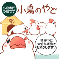 ܺ٥ڡ