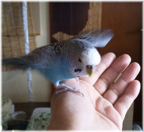 ܺ٥ڡ