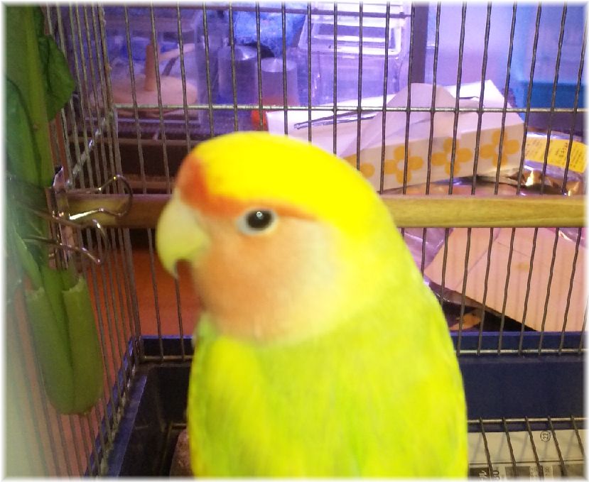 ܺ٥ڡ