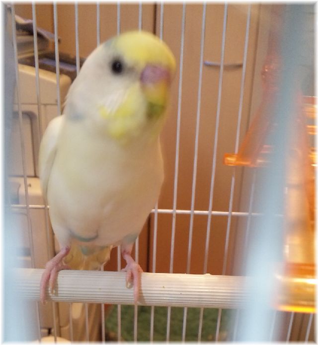 ܺ٥ڡ