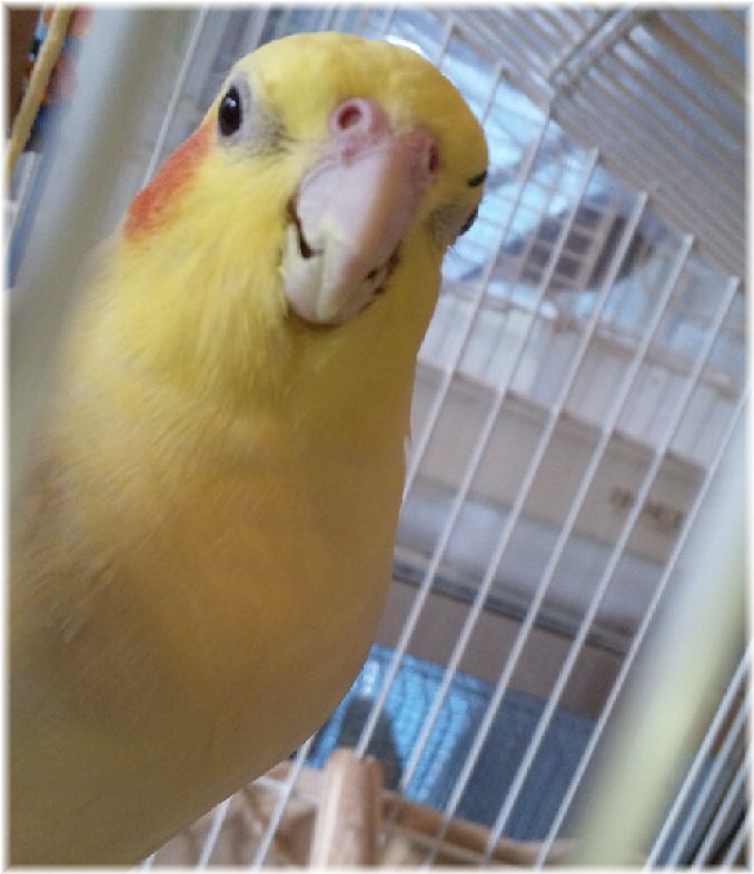 ܺ٥ڡ
