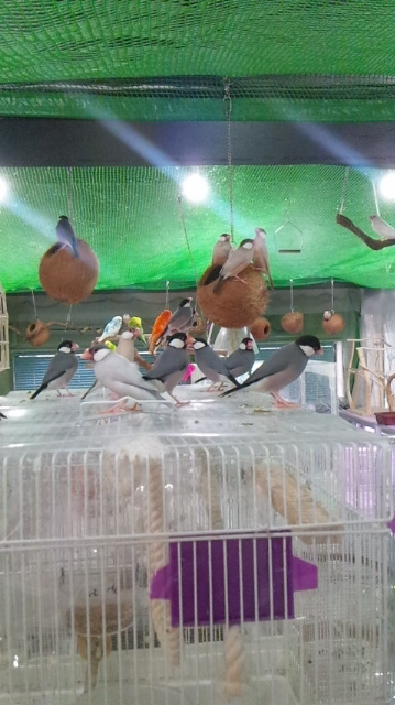 ܺ٥ڡ