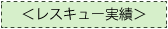 ＜ﾚスｷｭｰ実績＞